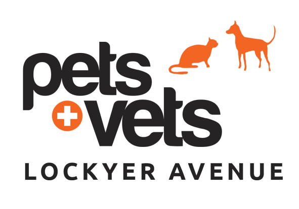 Lockyer Avenue Veterinary Hospital